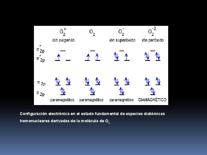 Configuración electrónica en el estado fundamental de especies diatómicas homonucleares derivadas de la Configuración electrónica en el estado fundamental de especies diatómicas homonucleares derivadas de la