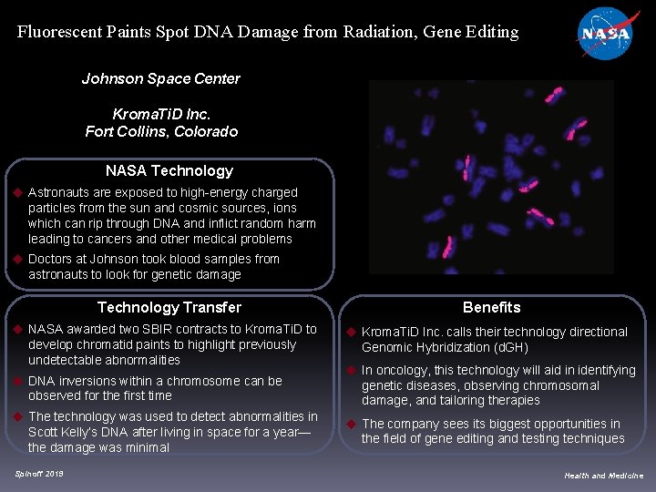 Fluorescent Paints Spot DNA Damage from Radiation, Gene Editing Johnson Space Center Kroma. Ti. Fluorescent Paints Spot DNA Damage from Radiation, Gene Editing Johnson Space Center Kroma. Ti.