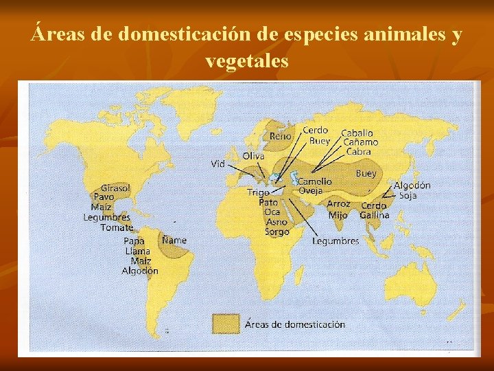 Áreas de domesticación de especies animales y vegetales 