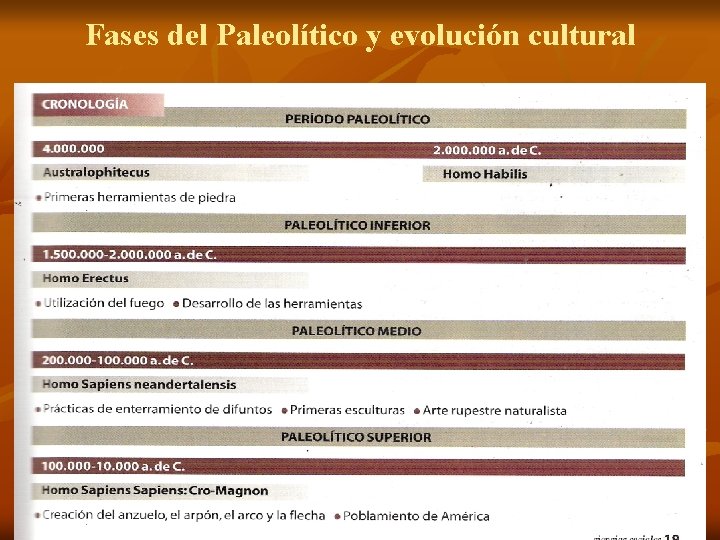 Fases del Paleolítico y evolución cultural 