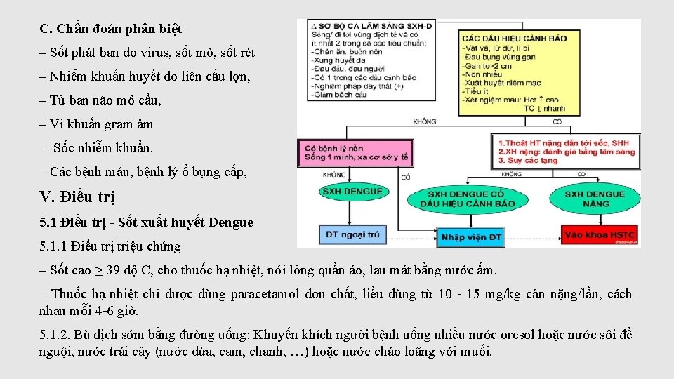 C. Chẩn đoán phân biệt ‒ Sốt phát ban do virus, sốt mò, sốt