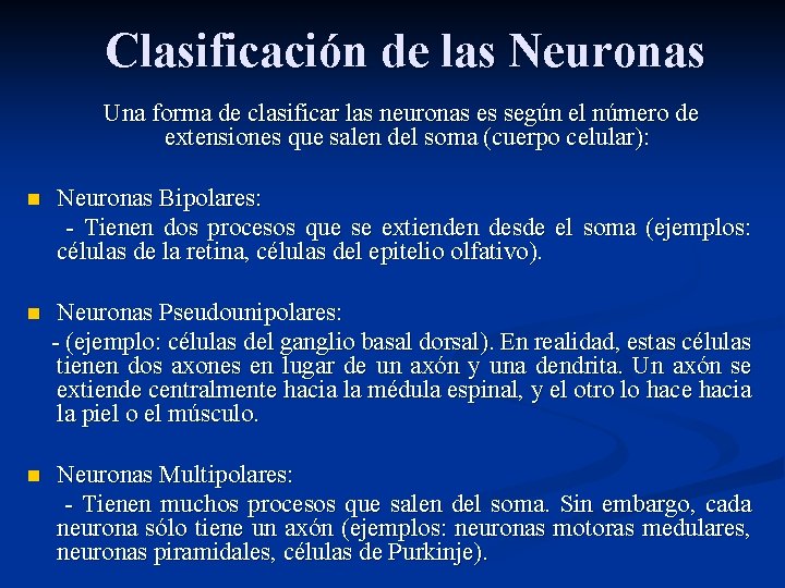 Clasificación de las Neuronas Una forma de clasificar las neuronas es según el número