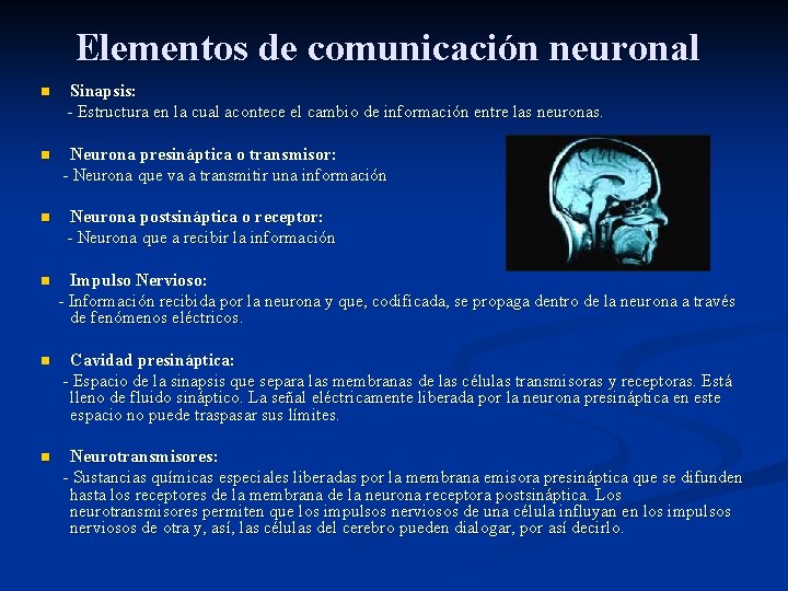 Elementos de comunicación neuronal n n n Sinapsis: - Estructura en la cual acontece