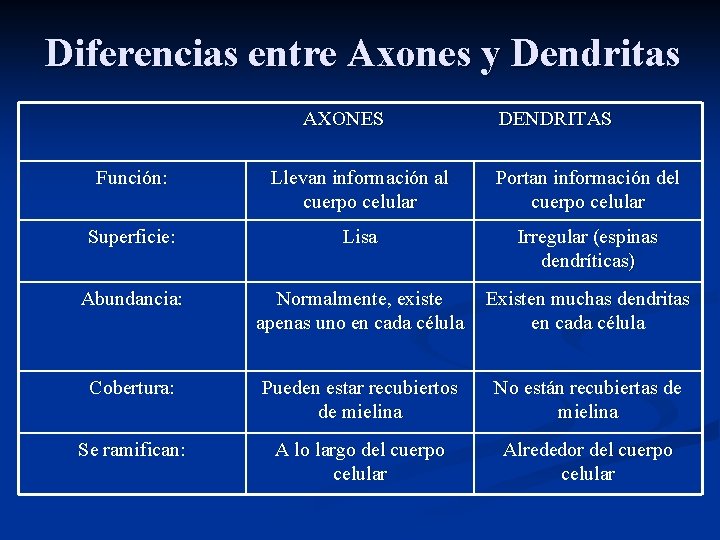 Diferencias entre Axones y Dendritas AXONES DENDRITAS Función: Llevan información al cuerpo celular Portan