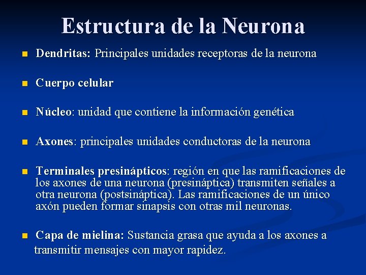 Estructura de la Neurona n Dendritas: Principales unidades receptoras de la neurona n Cuerpo