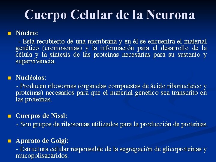 Cuerpo Celular de la Neurona n Núcleo: - Está recubierto de una membrana y