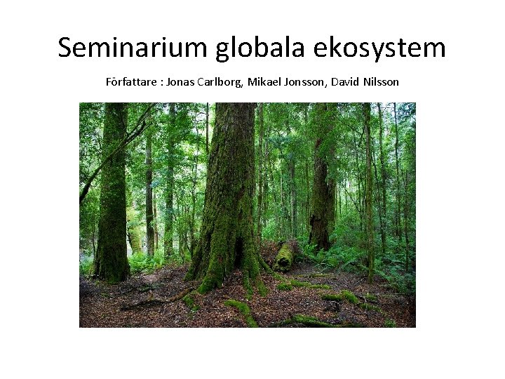 Seminarium globala ekosystem Författare : Jonas Carlborg, Mikael Jonsson, David Nilsson 