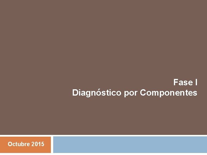 Fase I Diagnóstico por Componentes Octubre 2015 