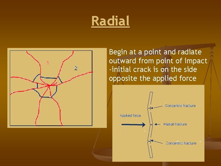 Radial Begin at a point and radiate outward from point of impact -initial crack