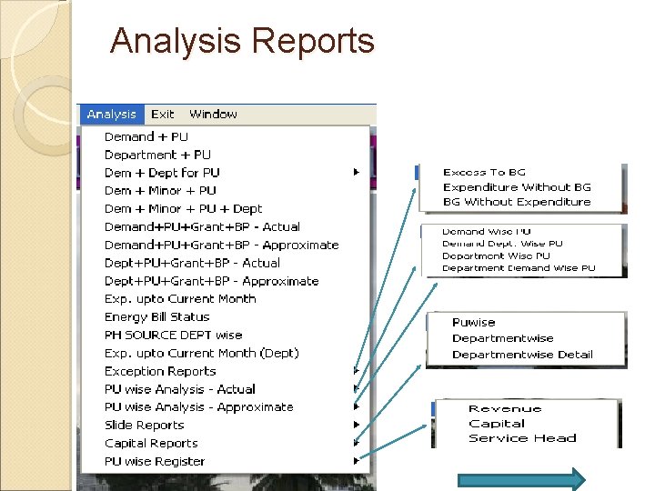 Analysis Reports 