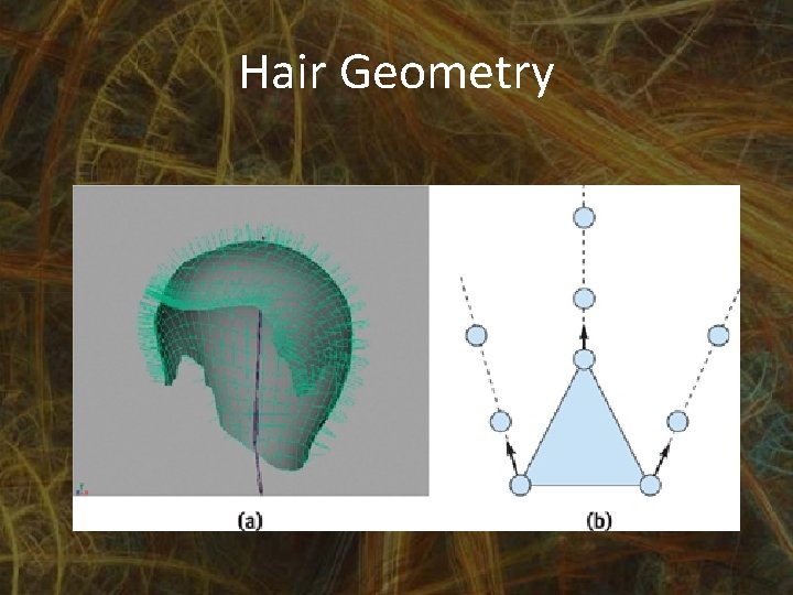 Hair Geometry 