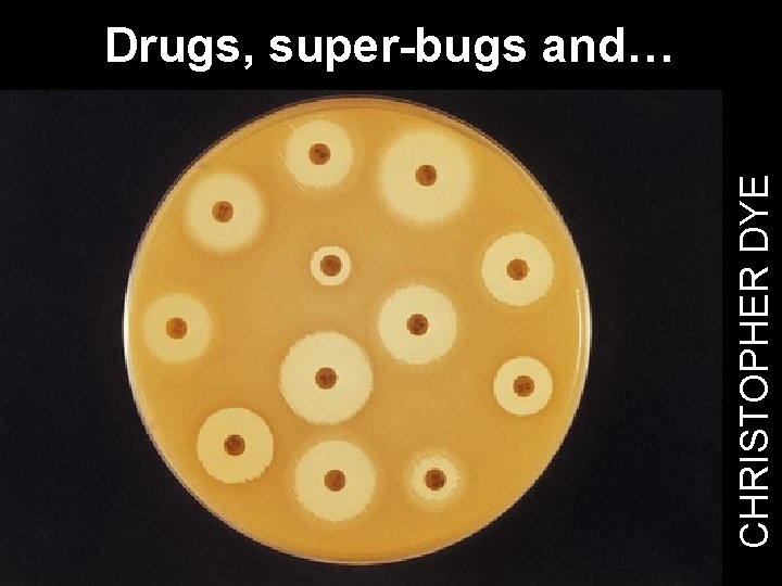 CHRISTOPHER DYE Drugs, super-bugs and… 