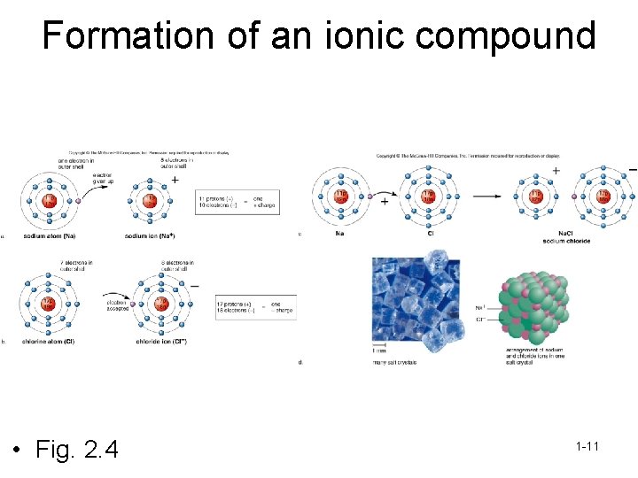 Formation of an ionic compound • Fig. 2. 4 1 -11 