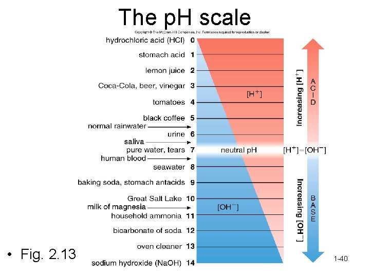 The p. H scale • Fig. 2. 13 1 -40 