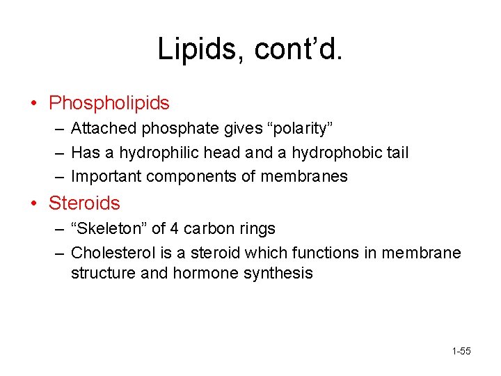 Lipids, cont’d. • Phospholipids – Attached phosphate gives “polarity” – Has a hydrophilic head
