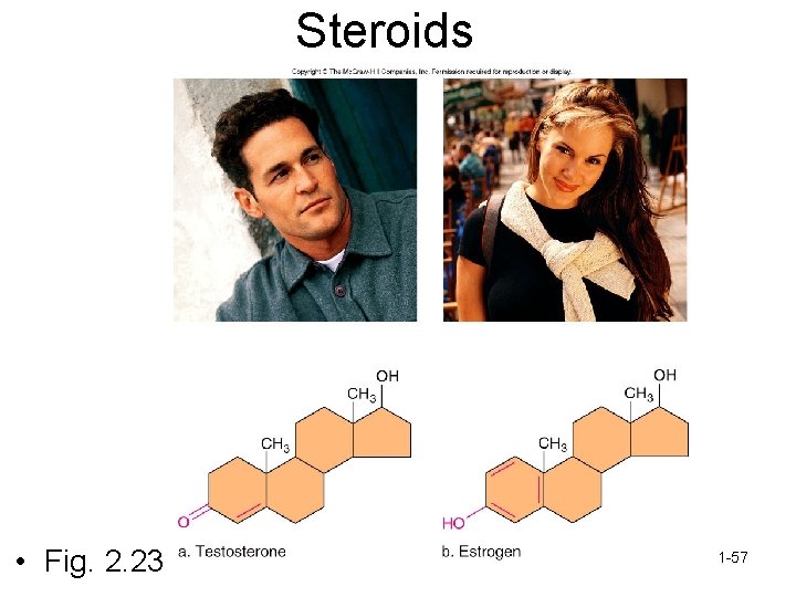 Steroids • Fig. 2. 23 1 -57 