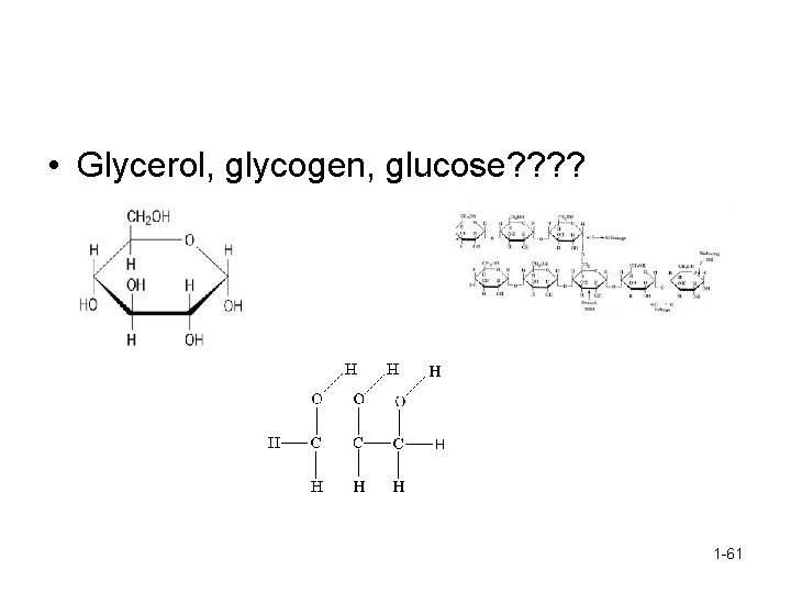  • Glycerol, glycogen, glucose? ? 1 -61 