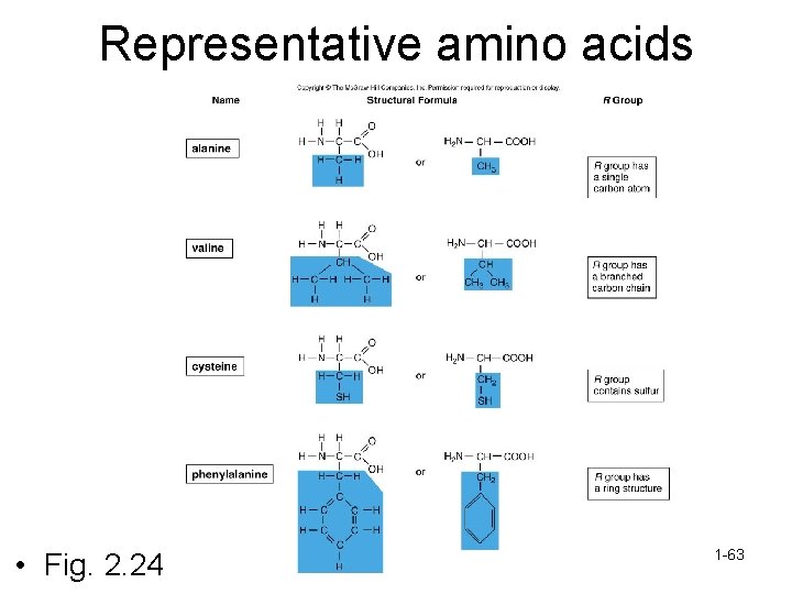 Representative amino acids • Fig. 2. 24 1 -63 