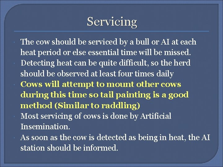 Servicing The cow should be serviced by a bull or AI at each heat