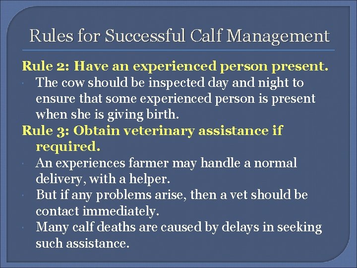 Rules for Successful Calf Management Rule 2: Have an experienced person present. The cow