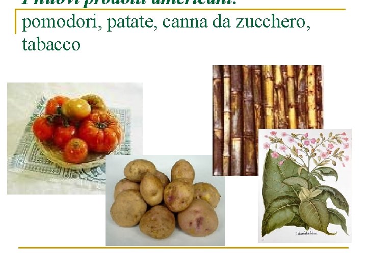 I nuovi prodotti americani: pomodori, patate, canna da zucchero, tabacco 