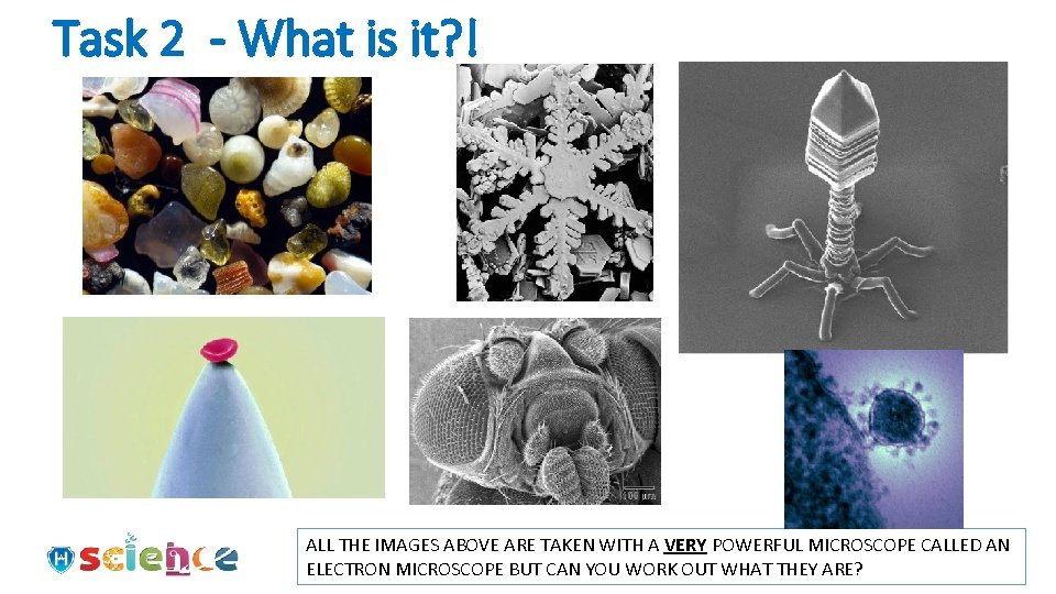 Task 2 - What is it? ! ALL THE IMAGES ABOVE ARE TAKEN WITH