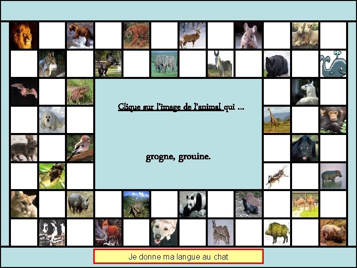 Clique Sur Limage De Lanimal Qui Blatre Je