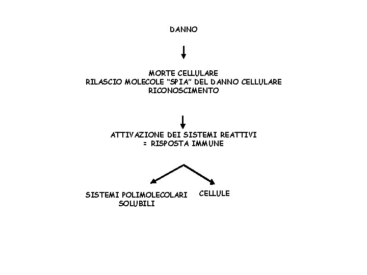 DANNO MORTE CELLULARE RILASCIO MOLECOLE “SPIA” DEL DANNO CELLULARE RICONOSCIMENTO ATTIVAZIONE DEI SISTEMI REATTIVI