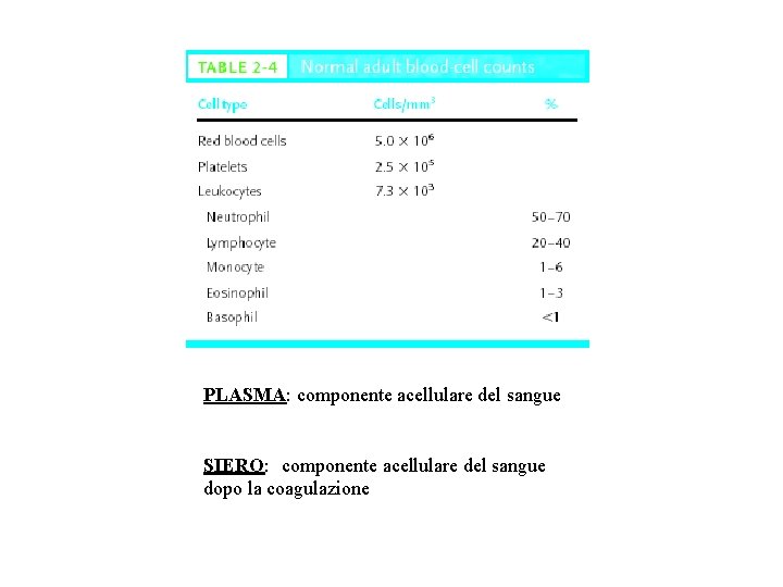 PLASMA: componente acellulare del sangue SIERO: componente acellulare del sangue dopo la coagulazione 