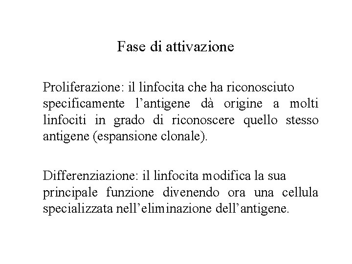 Fase di attivazione Proliferazione: il linfocita che ha riconosciuto specificamente l’antigene dà origine a