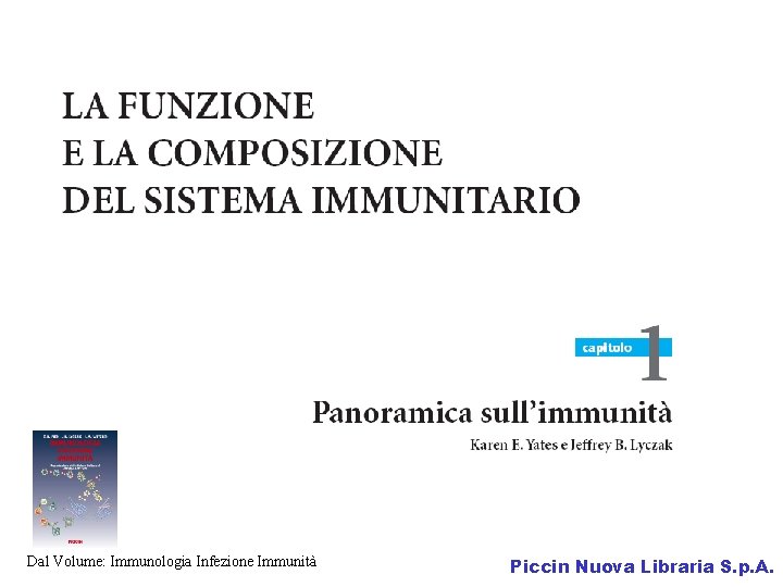 Dal Volume: Immunologia Infezione Immunità Piccin Nuova Libraria S. p. A. 