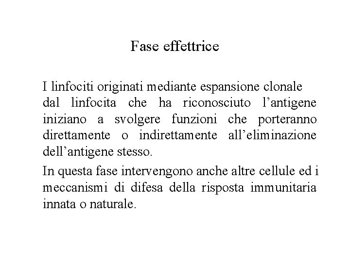 Fase effettrice I linfociti originati mediante espansione clonale dal linfocita che ha riconosciuto l’antigene