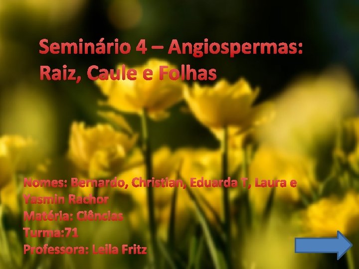 Seminário 4 – Angiospermas: Raiz, Caule e Folhas Nomes: Bernardo, Christian, Eduarda T, Laura