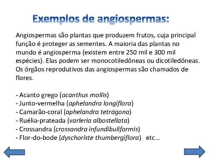  Angiospermas são plantas que produzem frutos, cuja principal função é proteger as sementes.