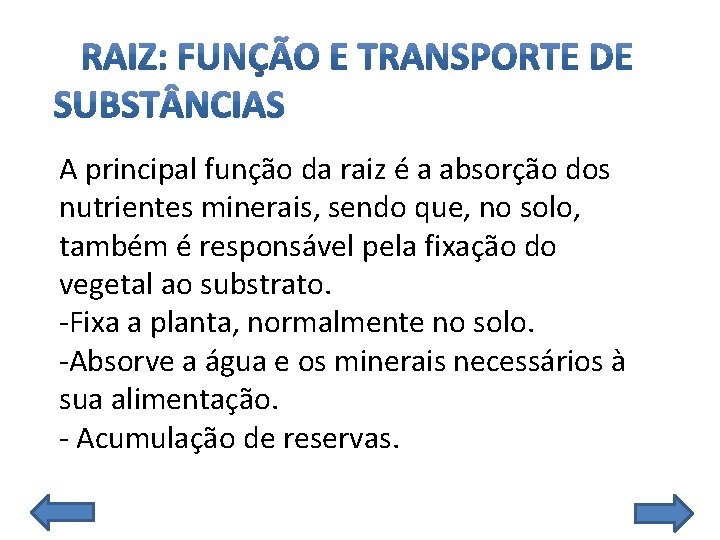 A principal função da raiz é a absorção dos nutrientes minerais, sendo que, no