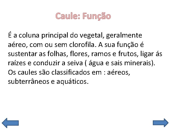  Caule: Função É a coluna principal do vegetal, geralmente aéreo, com ou sem