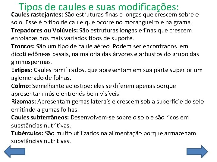 Tipos de caules e suas modificações: Caules rastejantes: São estruturas finas e longas que