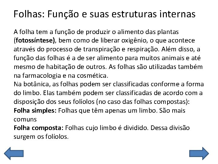 Folhas: Função e suas estruturas internas A folha tem a função de produzir o