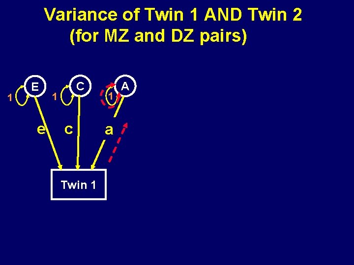 Variance of Twin 1 AND Twin 2 (for MZ and DZ pairs) 1 E
