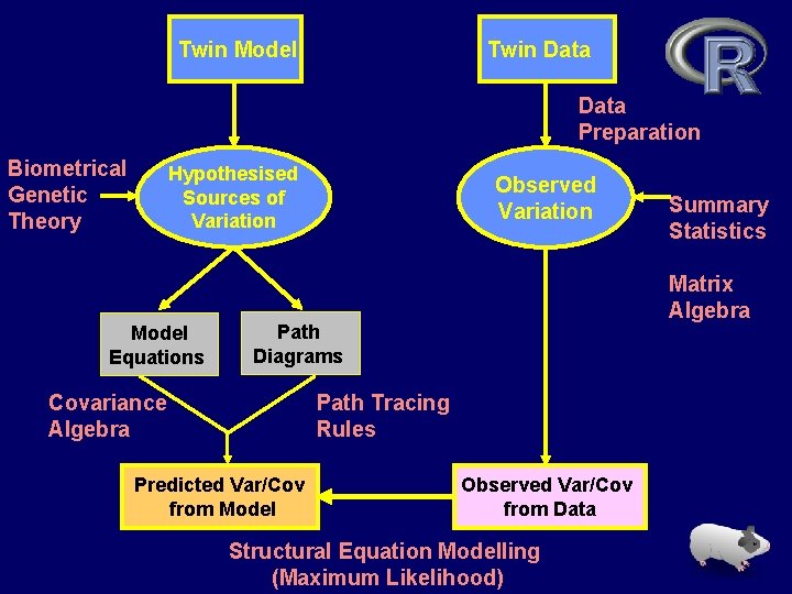 Twin Model Twin Data Preparation Biometrical Genetic Theory Hypothesised Sources of Variation Model Equations