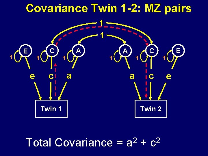 Covariance Twin 1 -2: MZ pairs 1 1 1 C E 1 1 e