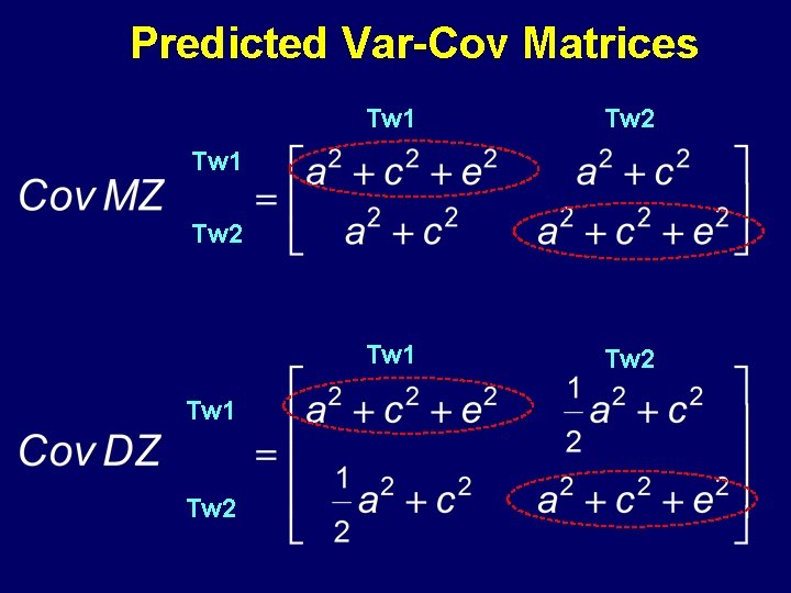 Predicted Var-Cov Matrices Tw 1 Tw 2 