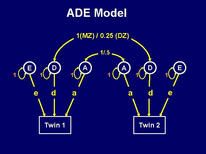 ADE Model 1(MZ) / 0. 25 (DZ) 1/. 5 D E 1 1 1