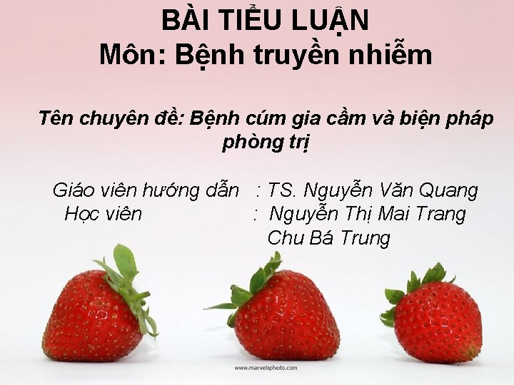 BÀI TIỂU LUẬN Môn: Bệnh truyền nhiễm Tên chuyên đề: Bệnh cúm gia cầm