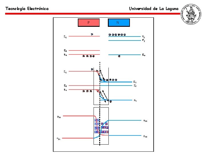 Tecnología Electrónica Universidad de La Laguna 