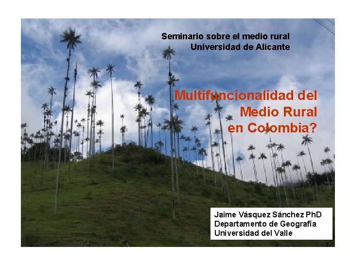 Seminario sobre el medio rural Universidad de Alicante Multifuncionalidad del Medio Rural en Colombia?