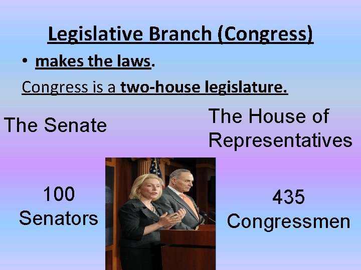 Legislative Branch (Congress) • makes the laws. Congress is a two-house legislature. The Senate