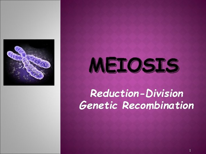 MEIOSIS Reduction-Division Genetic Recombination 1 