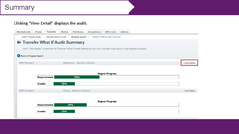 Summary Clicking “View Detail” displays the audit. 