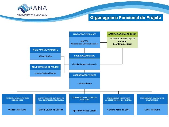 Organograma Funcional do Projeto 